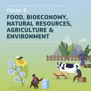 Bioeconomy